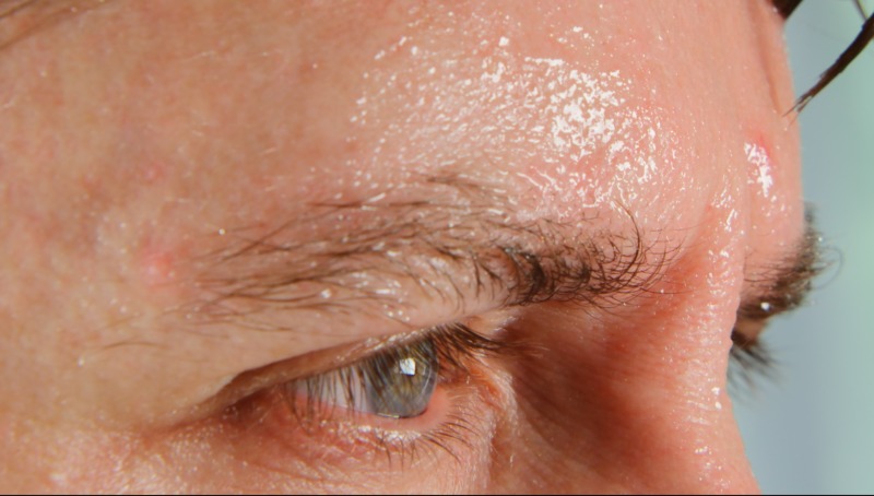 shutterstock.com/cliplab